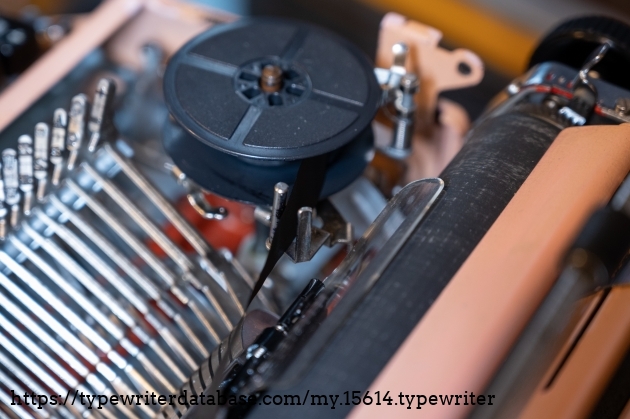 The wide ribbon forks, which let eyelets run right through them to get stuck in the ribbon vibrator. I need to trim them off any new ribbons I use with this typewriter.