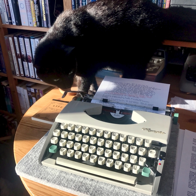 Cats and typewriters.