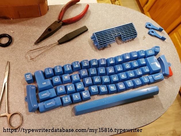 IBM Accent blue keys, ready to go into a clean and working  Selectric I.