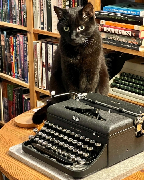 Cats and typewriters.