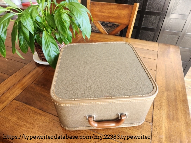Exquisite brown textured hard case with brown rubber edge trim and large tan stitching sitting on a wooden table next to a green plant