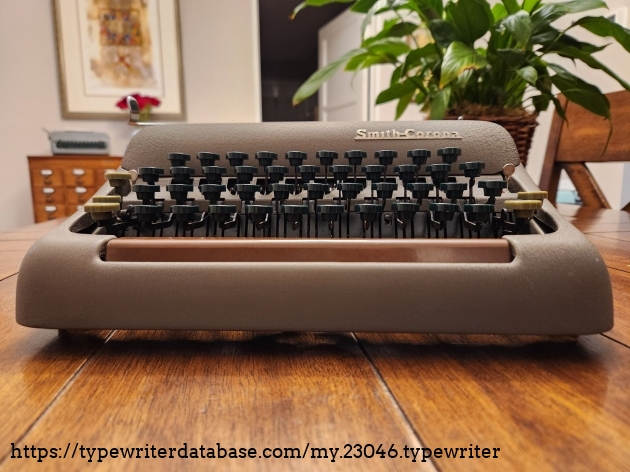 table level view of the front of the typewriter featuring the brown shiny spacebar in front with the green keys sitting slightly above them. In the backgound on the right is a green house plant.