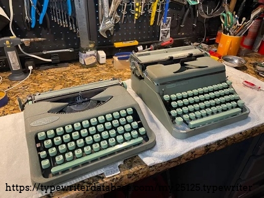 Rocket and 2000 on Mary's workbench getting rehabbed!