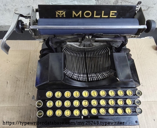 The rare MT logo was only used in the 2xxx serial numbers. The rare MT logo was only used in the 2xxx serial numbers.