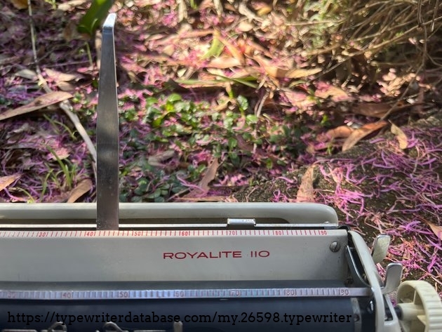 It really is a "Royalite 110".
