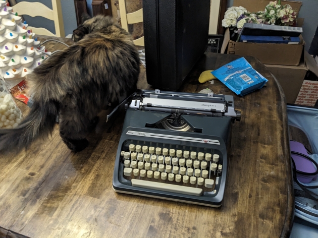 Passed the cat vibe check