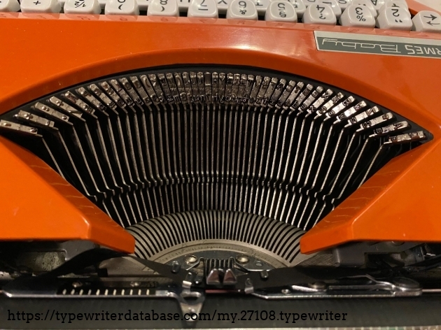 Here is a segment close up!