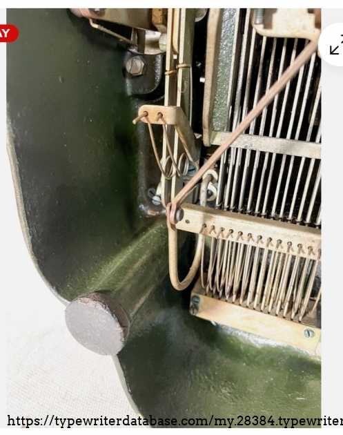 Underside, left-rear foot detail.