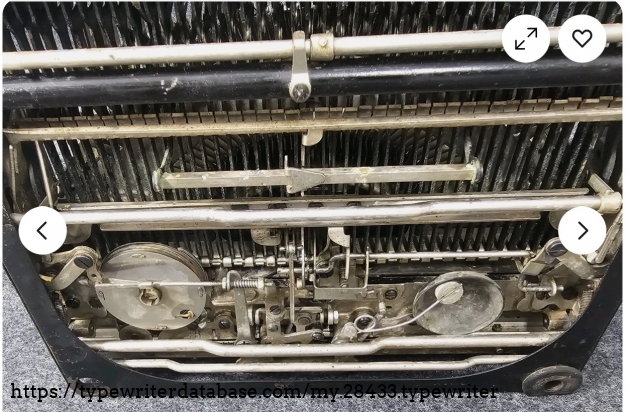 Underside slant-rear.
