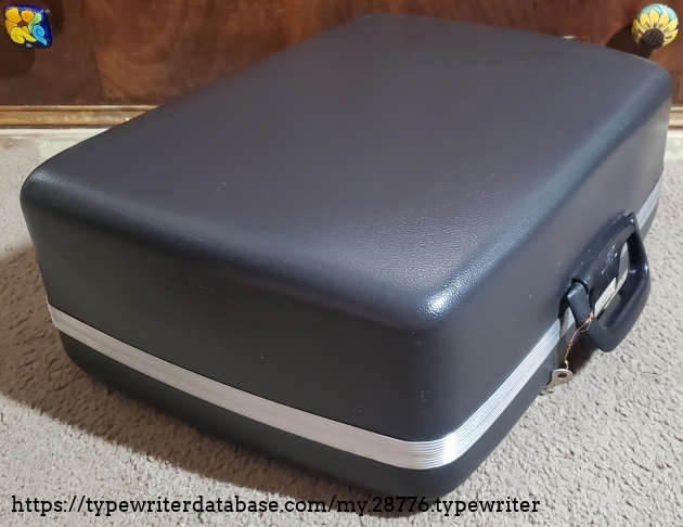 Case, pic 2