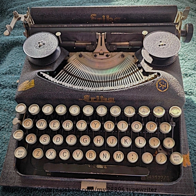 Front, top-down view in sunlight.