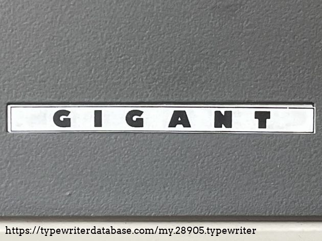 Detail: model badge