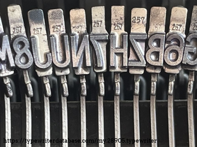 Detail: typeslugs "Gigant" (257), spacing 5.08mm, height ca. 6.5mm