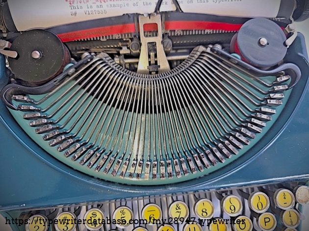 Type basket, top-down view.