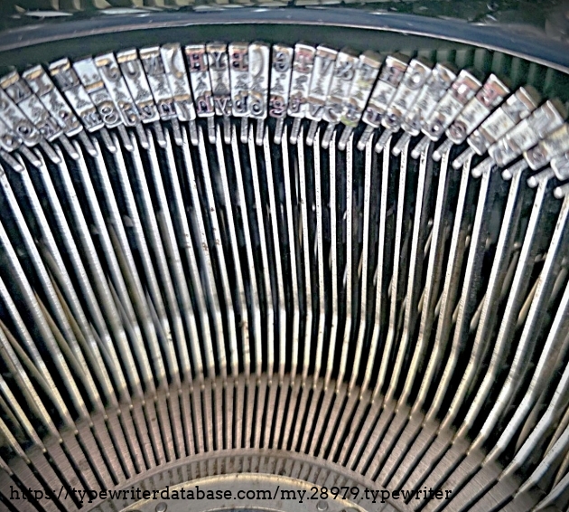 Type basket; unfortunately, this shot is quite blurry.