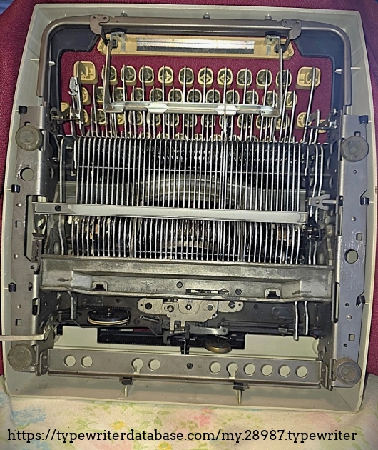 Underside.